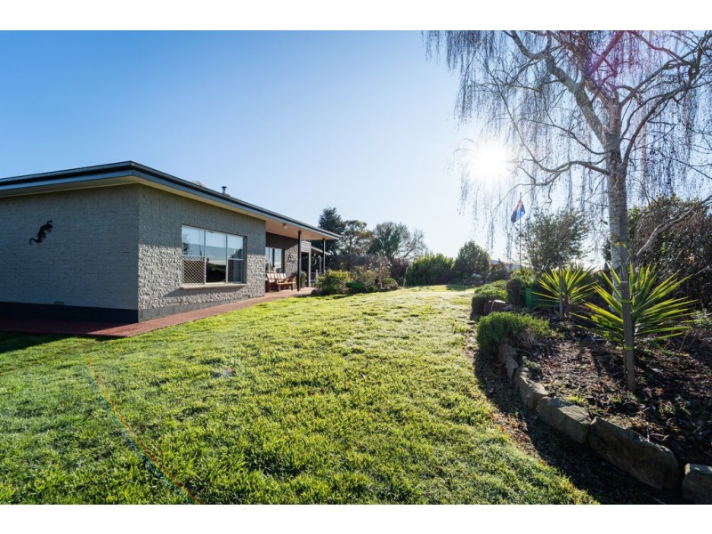 528 Ten Mile Track, Springfield TAS 7260