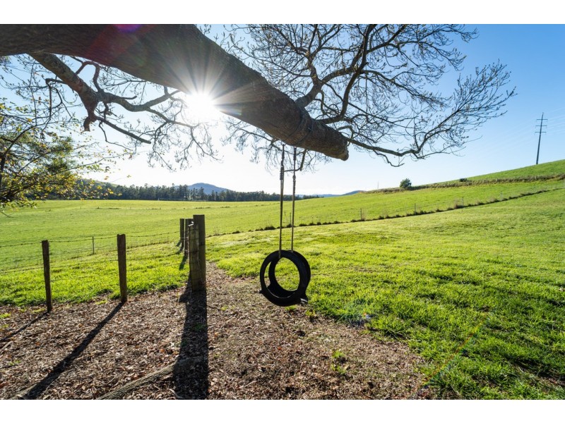 528 Ten Mile Track, Springfield TAS 7260