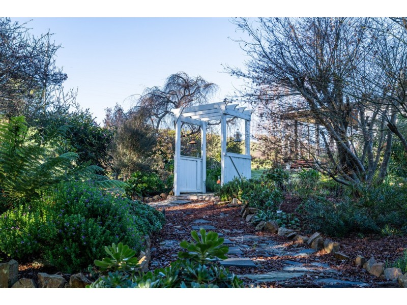 528 Ten Mile Track, Springfield TAS 7260