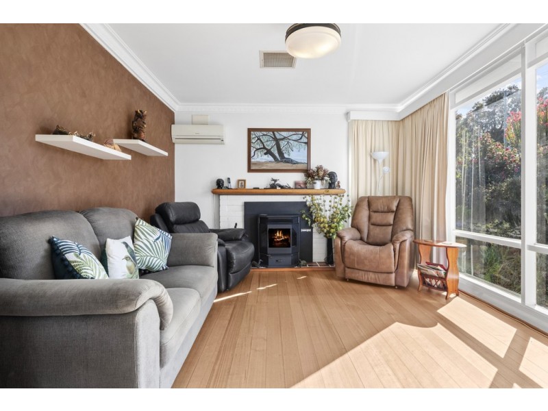 117 George Street, Scottsdale TAS 7260