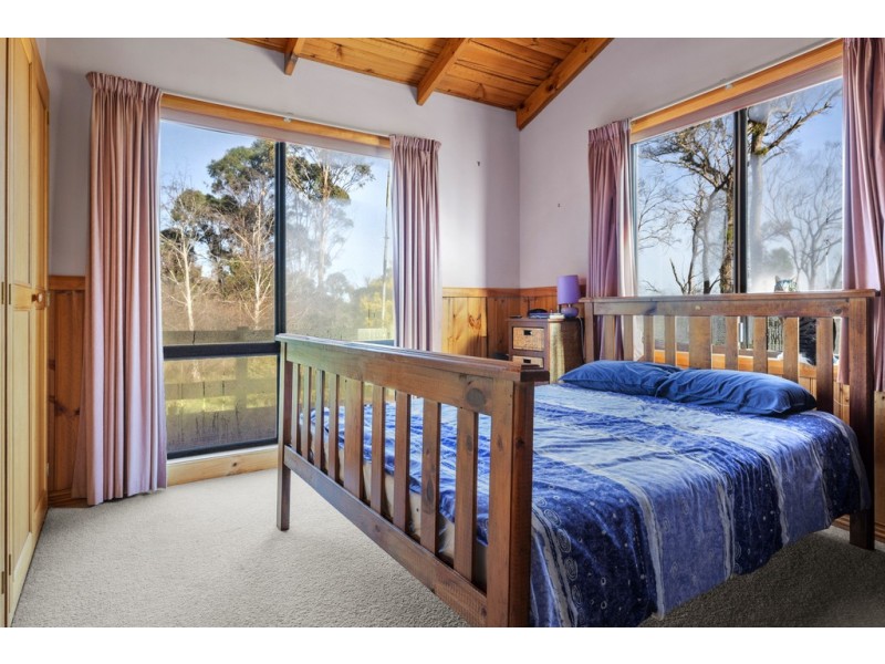 38 Holmes Court, Bridport TAS 7262