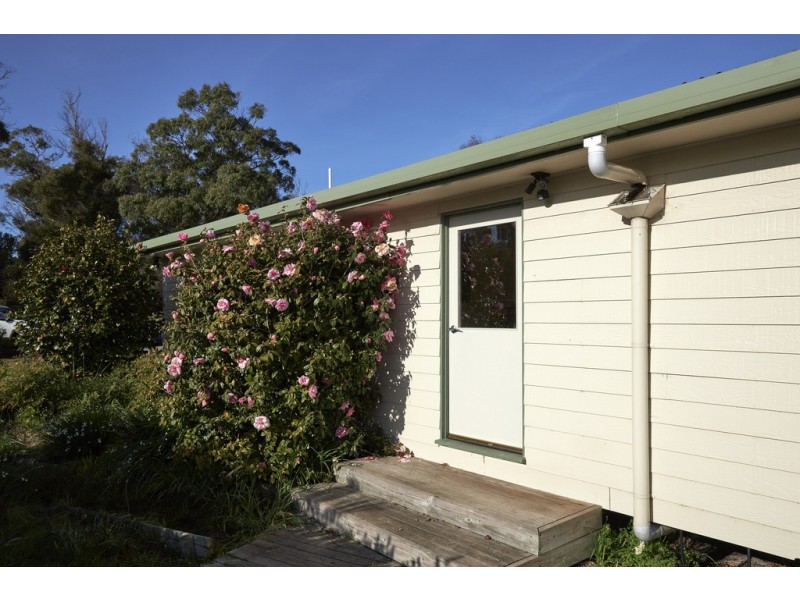 38 Holmes Court, Bridport TAS 7262