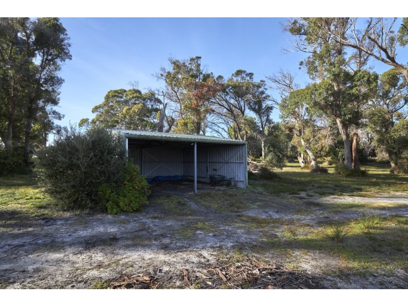 38 Holmes Court, Bridport TAS 7262