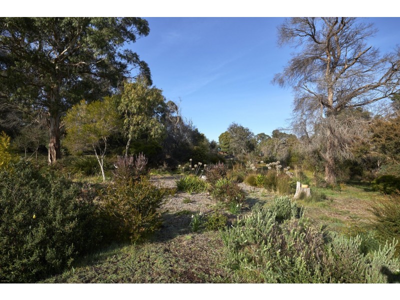 38 Holmes Court, Bridport TAS 7262