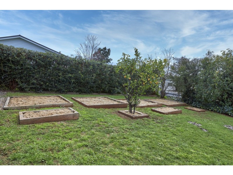 52 Ellenor Street, Scottsdale TAS 7260