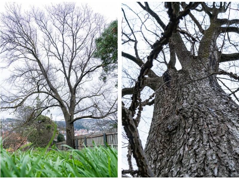 165 George Street, Launceston TAS 7250