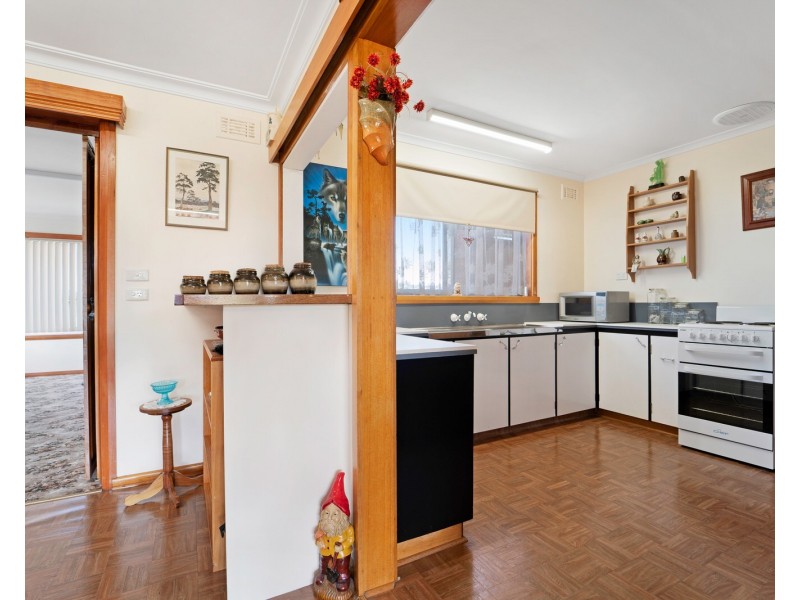 21 Erina Street, Scottsdale TAS 7260