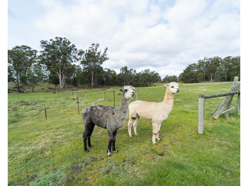 95 New Ecclestone Road, Riverside TAS 7250