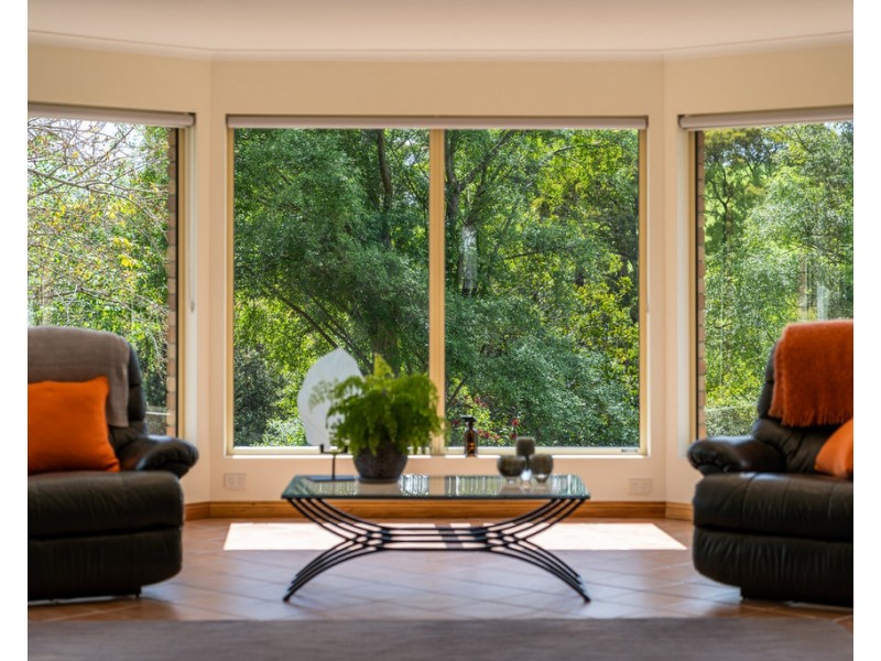 85 Burnside Road, Scottsdale TAS 7260