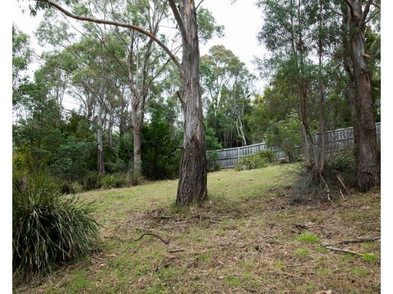 101 Blackstone Road, Blackstone Heights TAS 7250