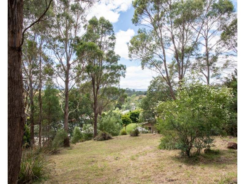 101 Blackstone Road, Blackstone Heights TAS 7250