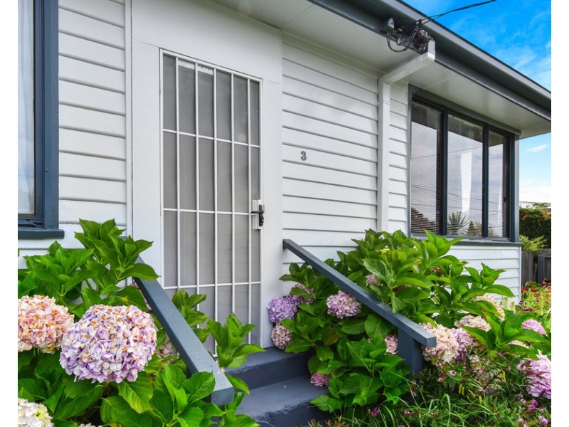 3 Andrew Street, George Town TAS 7253