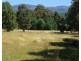 724 Tyne Road, Mathinna TAS 7214