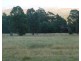 724 Tyne Road, Mathinna TAS 7214