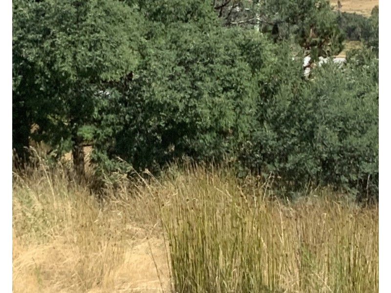 Lot 1 Mangana Street, Mathinna TAS 7214