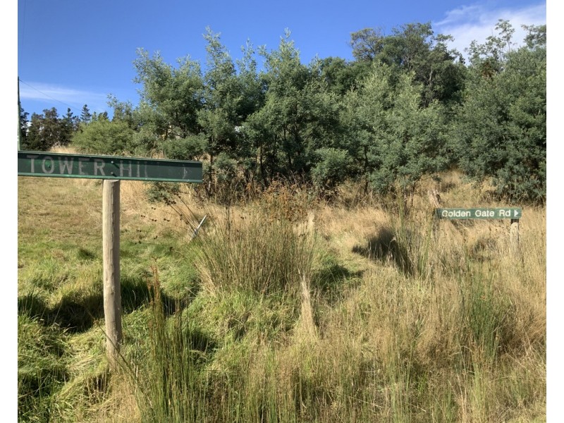 Lot 1 Mangana Street, Mathinna TAS 7214