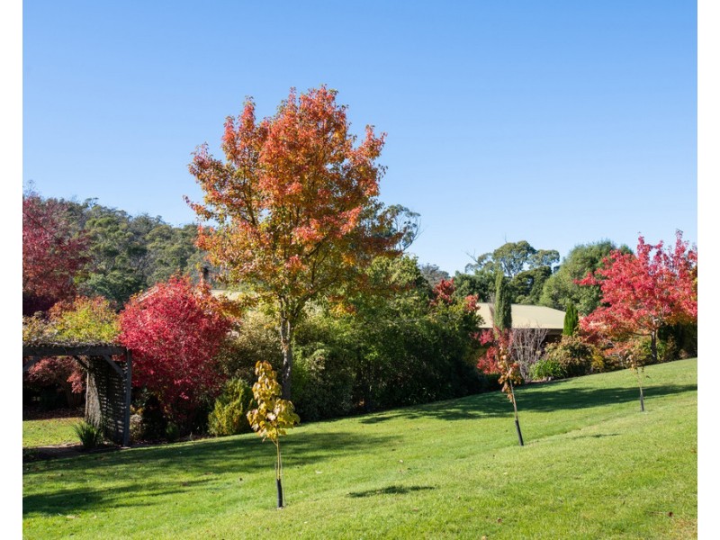 168 Main Road, Exeter TAS 7275