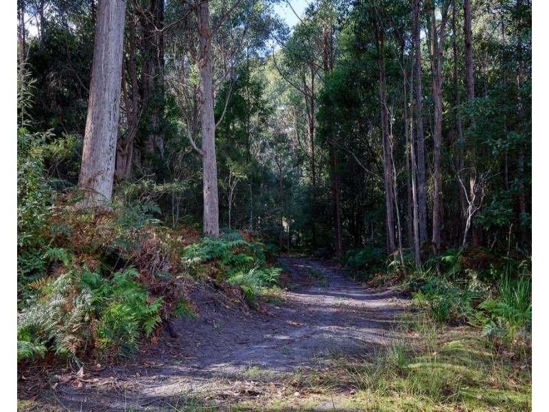 75 Barnbougle Road, North Scottsdale TAS 7260