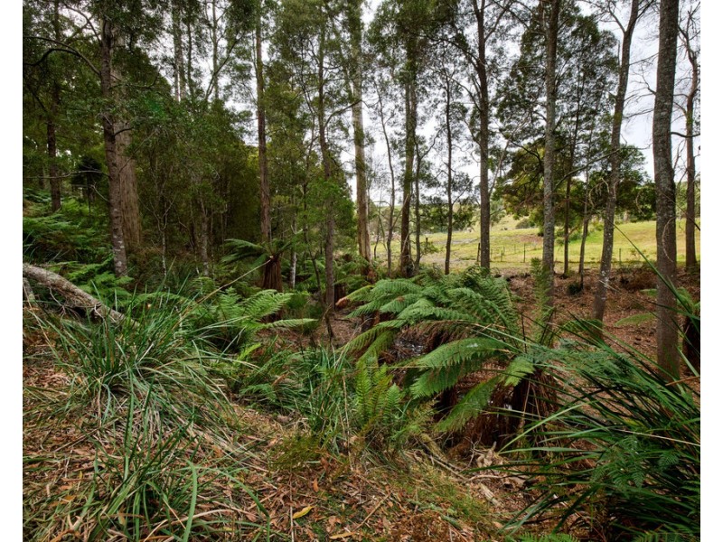 75 Barnbougle Road, North Scottsdale TAS 7260