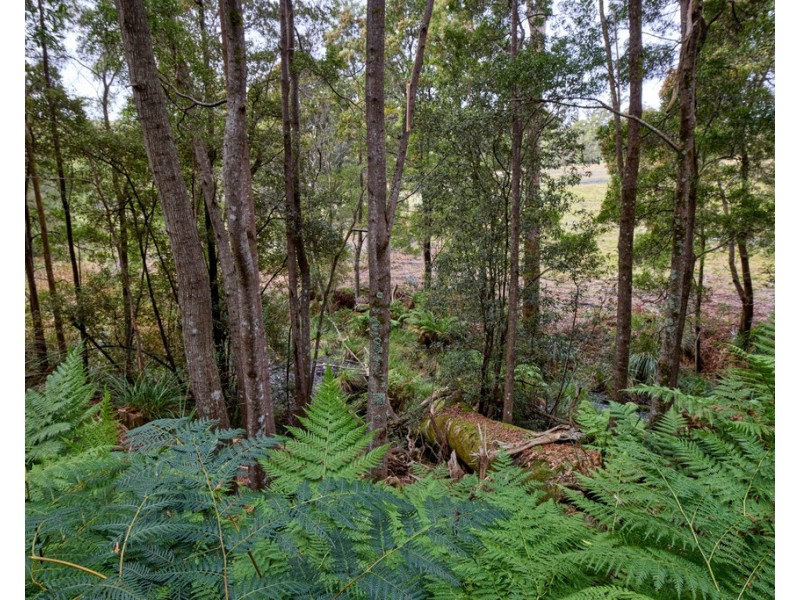 75 Barnbougle Road, North Scottsdale TAS 7260