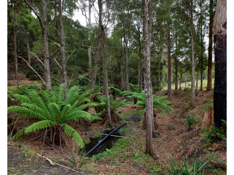 75 Barnbougle Road, North Scottsdale TAS 7260