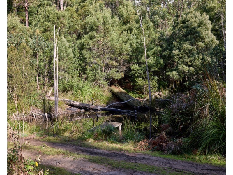 75 Barnbougle Road, North Scottsdale TAS 7260