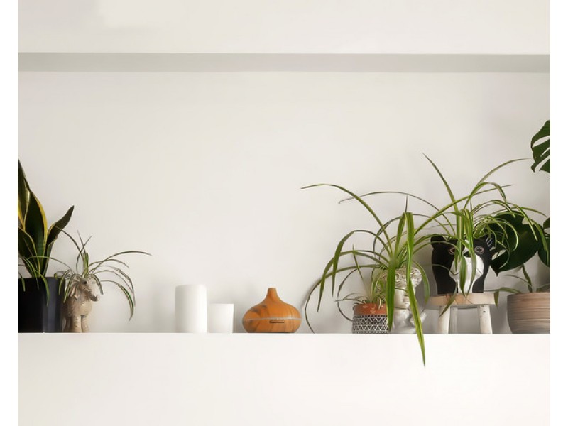 1/8 Banksia Grove, Perth TAS 7300