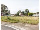 17 Cupania Street, Rocherlea TAS 7248