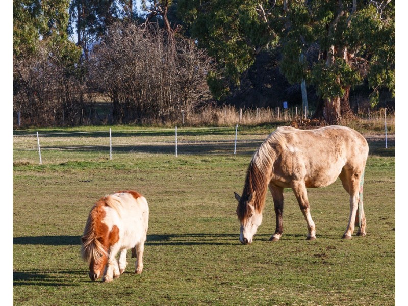 171 Five Acre Row, Westbury TAS 7303
