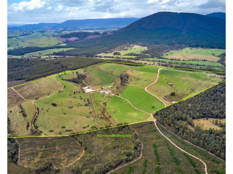 62 Bridport Back Road, Nabowla TAS 7260