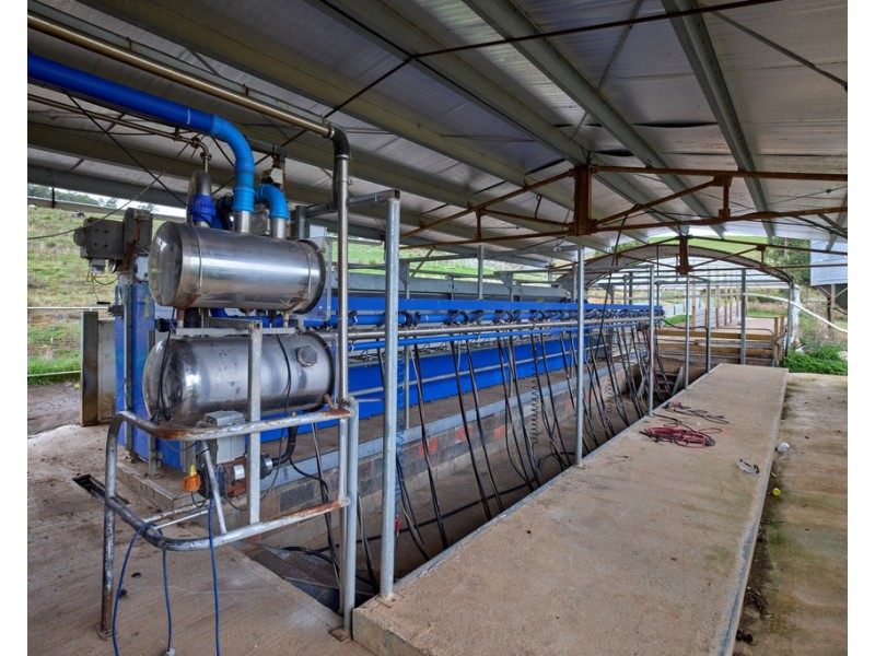 62 Bridport Back Road, Nabowla TAS 7260