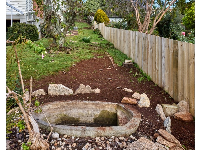 8 Ringarooma Road, Scottsdale TAS 7260