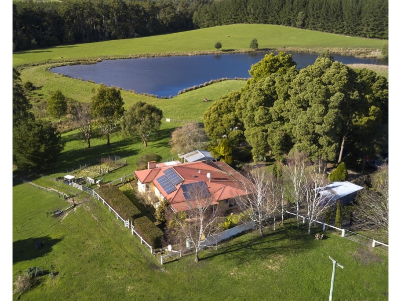183 Mackenzie Valley Road, Cuckoo TAS 7260