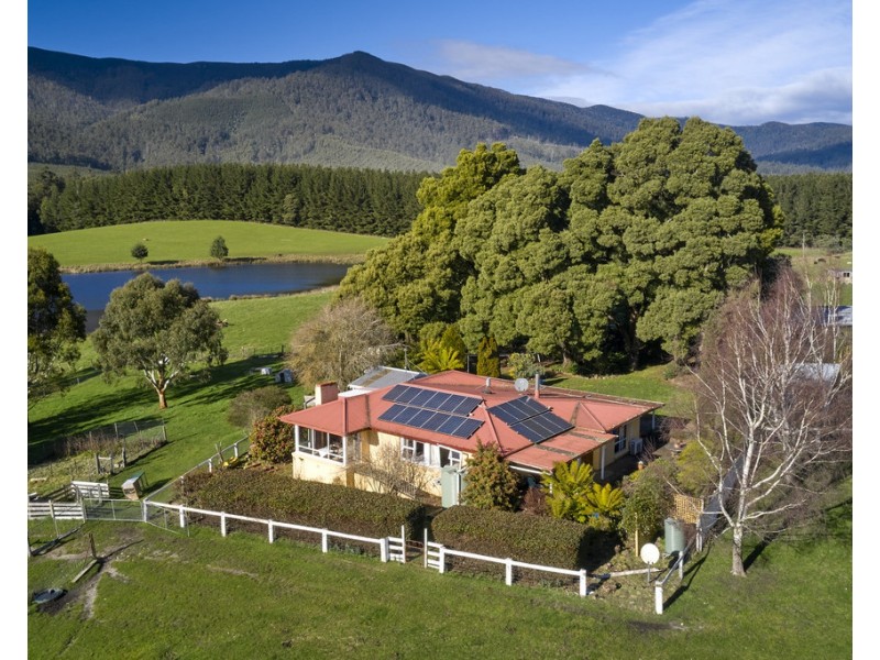 183 Mackenzie Valley Road, Cuckoo TAS 7260