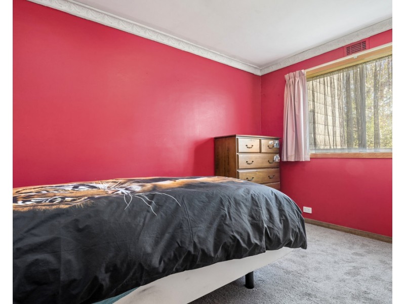 19 Carlisle Street, Waverley TAS 7250