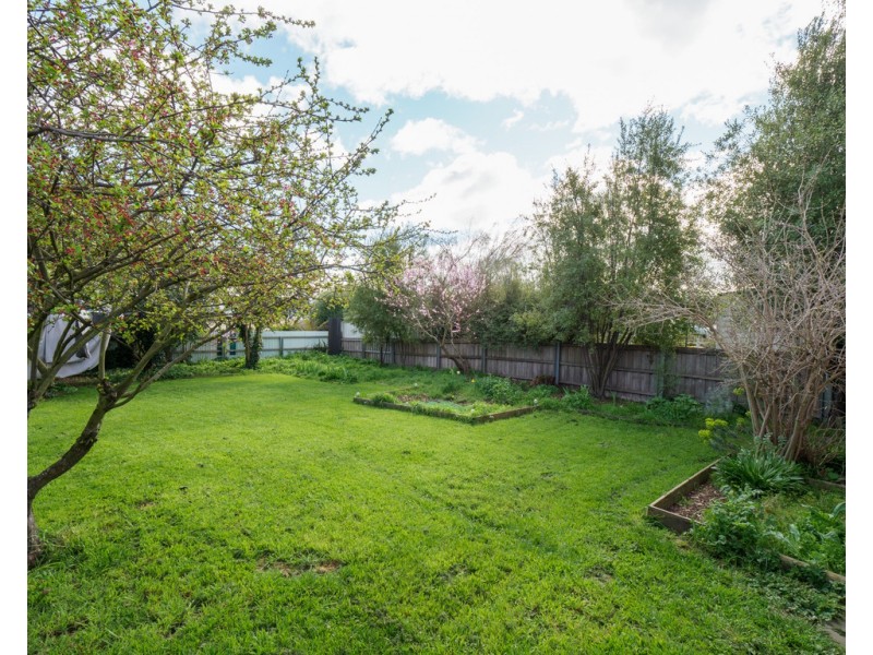 38 Mann Street, Invermay TAS 7248