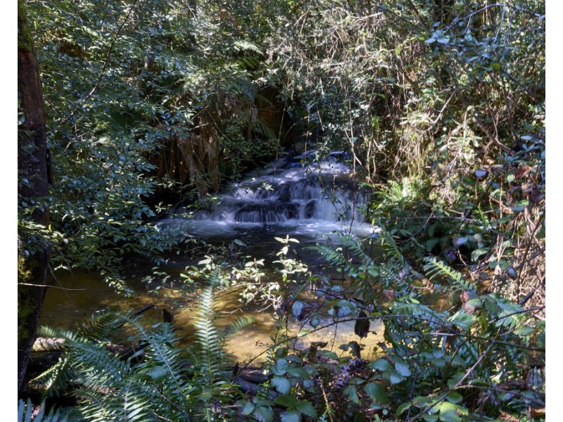 273 Burns Road, Wyena TAS 7254