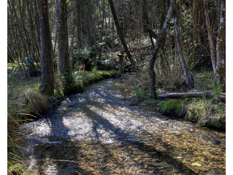 273 Burns Road, Wyena TAS 7254