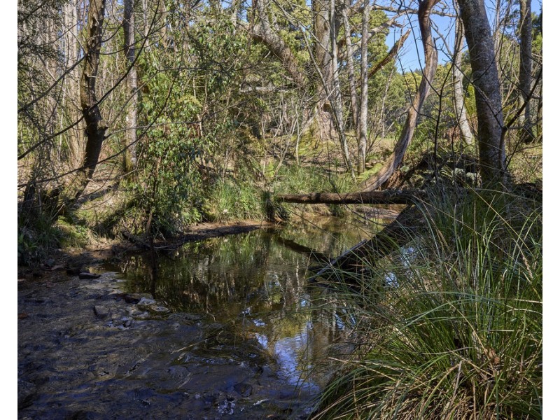 273 Burns Road, Wyena TAS 7254