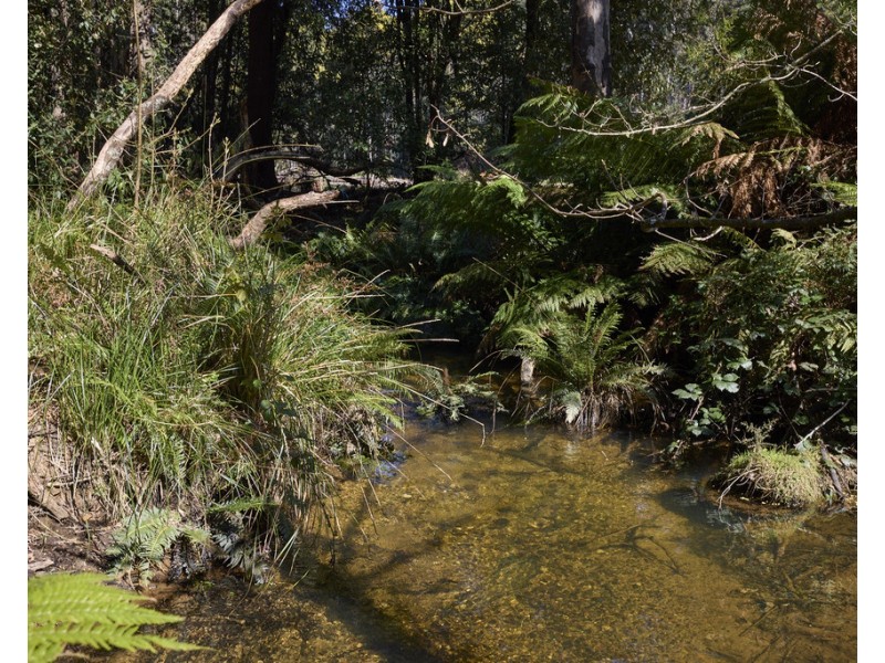 273 Burns Road, Wyena TAS 7254