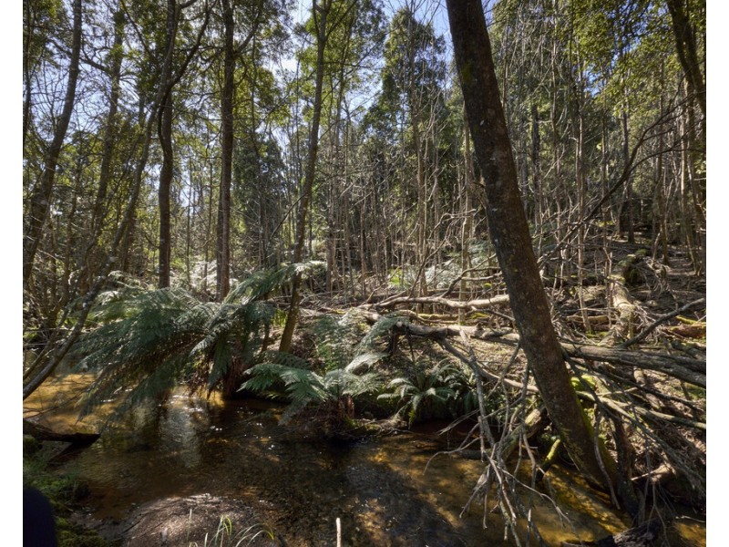 273 Burns Road, Wyena TAS 7254