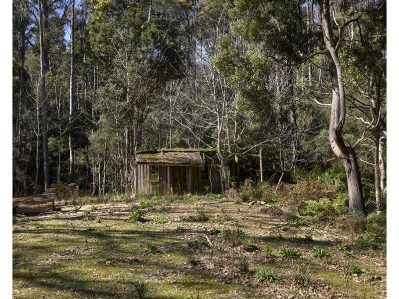 273 Burns Road, Wyena TAS 7254