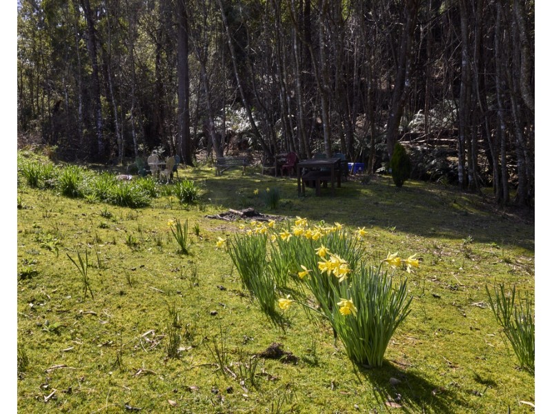 273 Burns Road, Wyena TAS 7254