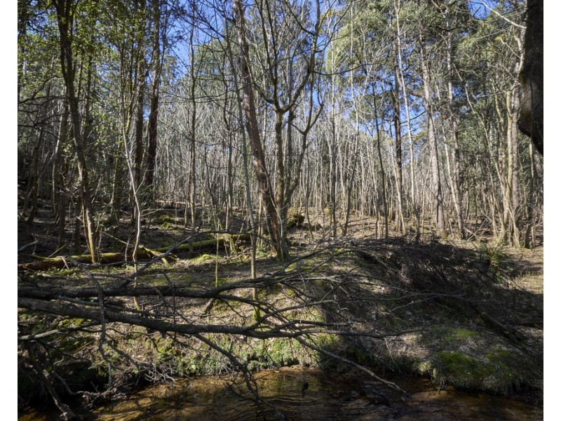 273 Burns Road, Wyena TAS 7254