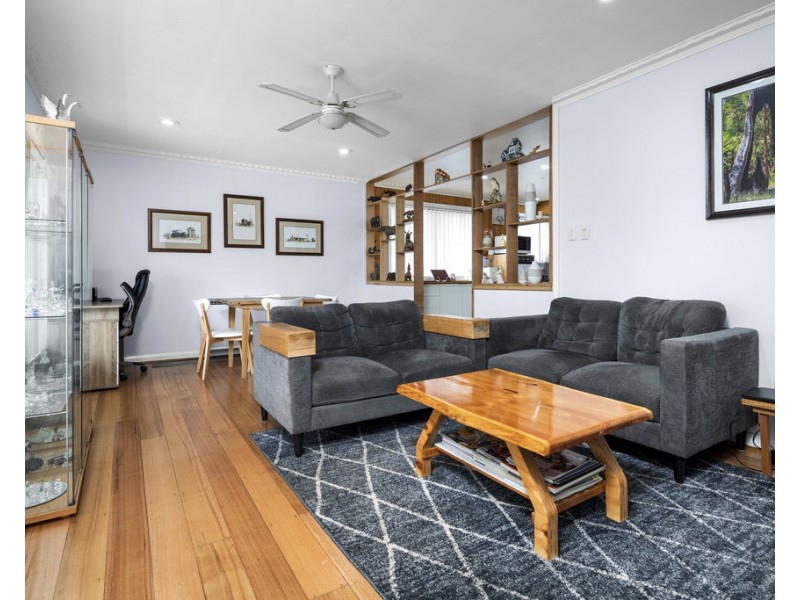 39 Ellenor Street, Scottsdale TAS 7260