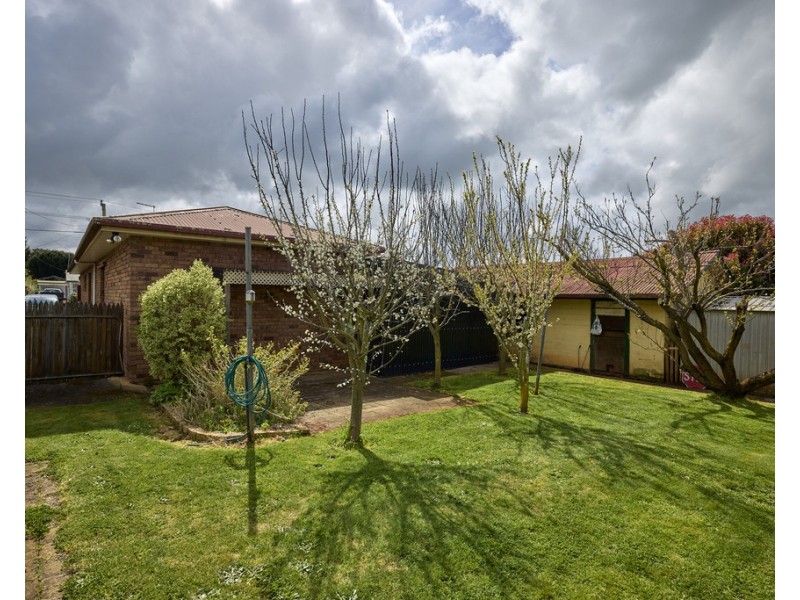 39 Ellenor Street, Scottsdale TAS 7260