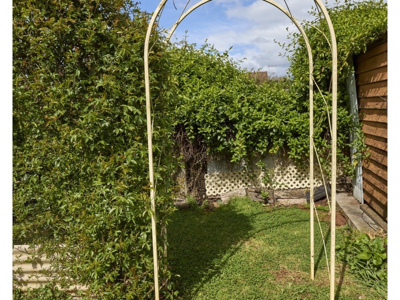 39 Ellenor Street, Scottsdale TAS 7260