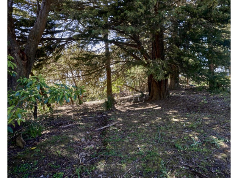 666 Deviot Road, Deviot TAS 7275