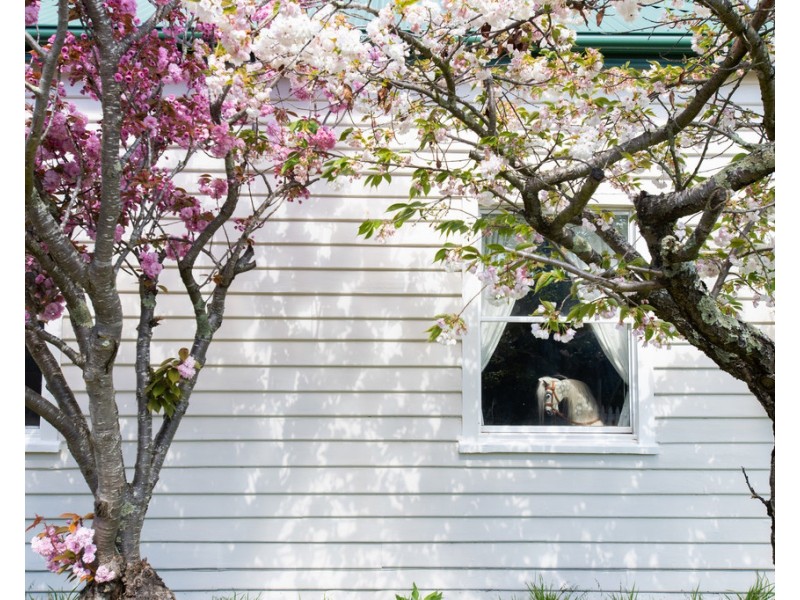 5 Macquarie Street, Evandale TAS 7212