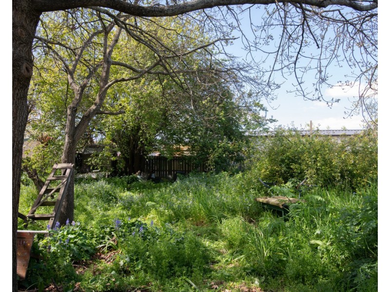 5 Macquarie Street, Evandale TAS 7212